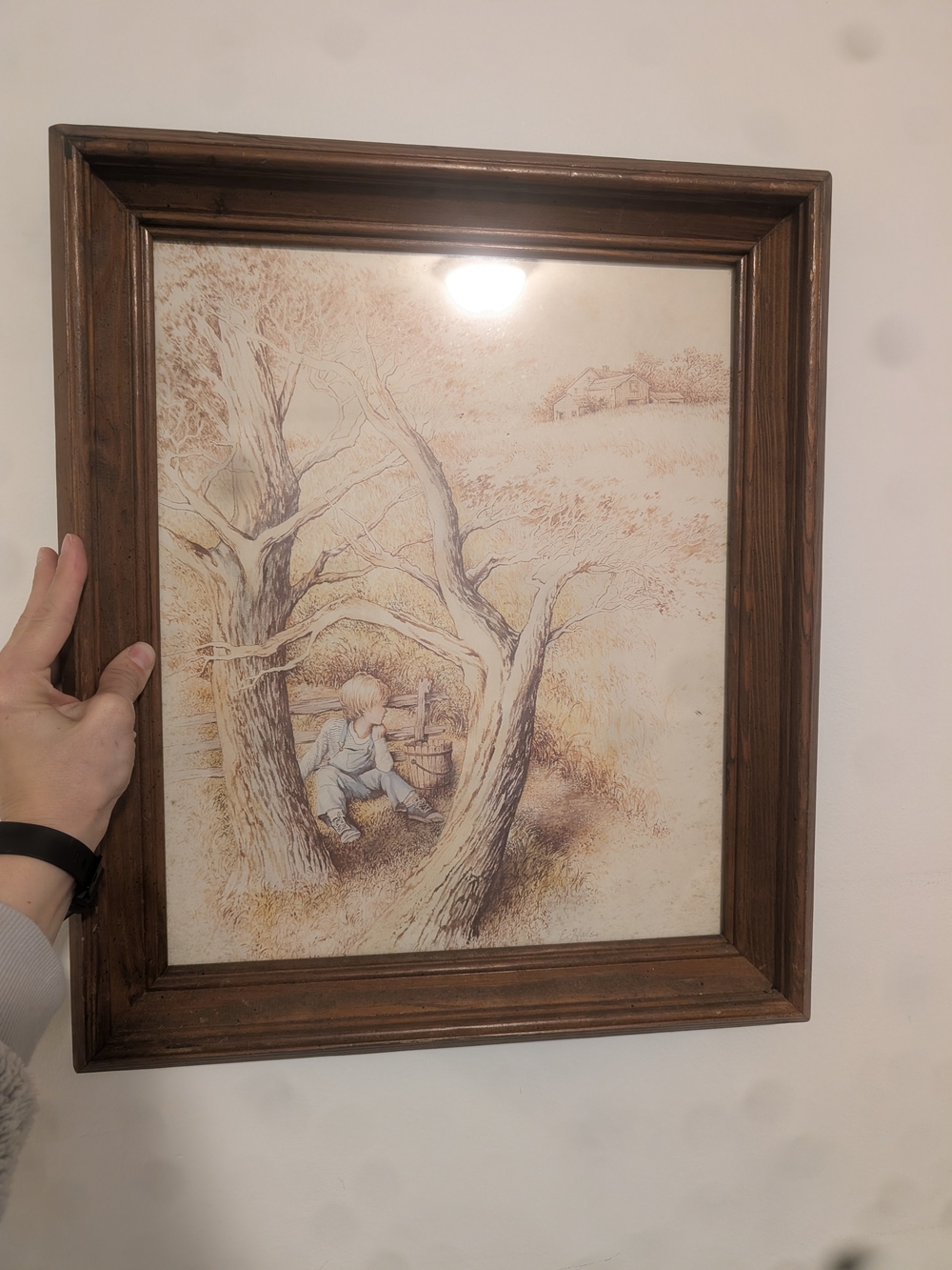 Wooden Framed Rustic Boy in Trees Wall Art - Brown